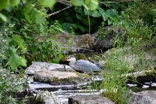 DSC_0131.JPG