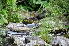 DSC_0107-EDIT.jpg