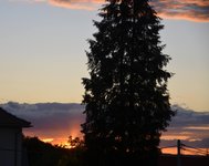 DSC_0249.JPG DSC_0249.JPG