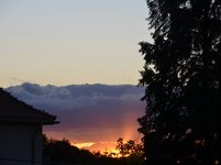 DSC_0251.JPG DSC_0251.JPG