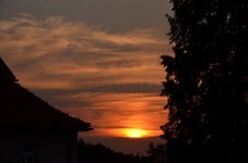 DSC_0202.JPG DSC_0202.JPG