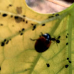 IMG_6881.JPG