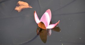 DSC_0131.JPG