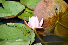 DSC_0073-EDIT.jpg