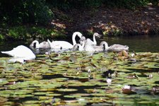 DSC_0105.JPG