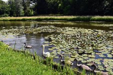 DSC_0159.JPG