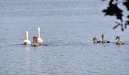 DSC_0180-EDIT.jpg