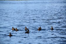 DSC_0077-EDIT.jpg