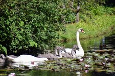 DSC_0119.JPG