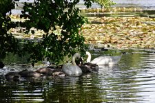 DSC_0128.JPG