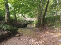 bachlauf.jpg