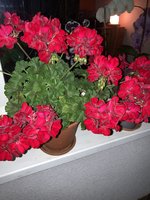 IMG_0853.jpeg