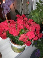 IMG_0854.jpeg
