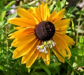 DSC_0023-EDIT.jpg