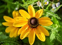 DSC_0020-EDIT.jpg