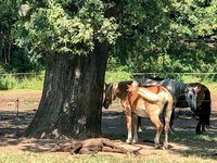 IMG_1307-EDIT (1).jpg