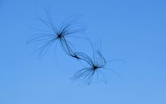 DSC_0002-EDIT.jpg