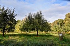DSC_0124-EDIT.jpg