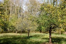 DSC_0130-EDIT.jpg