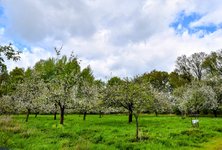 DSC_0105-EDIT-EDIT.jpg