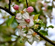 DSC_0121-EDIT-EDIT.jpg
