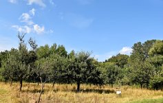 DSC_0057-EDIT.jpg