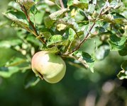DSC_0043-EDIT.jpg