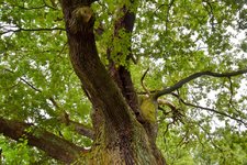 DSC_0280-EDIT.jpg