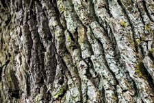 DSC_0268-EDIT.jpg