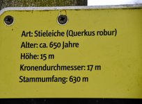 DSC_0269-EDIT.jpg
