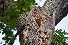 DSC_0273-EDIT.jpg