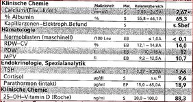Labor Teil  2.jpg