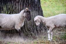 DSC_0199-EDIT.jpg