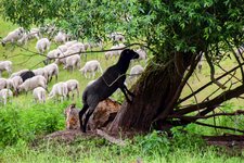 DSC_0175-EDIT.jpg