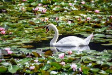 DSC_0122.JPG