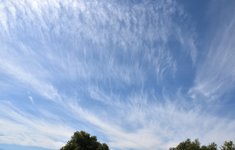 DSC_0016.JPG