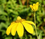 DSC_0005.JPG