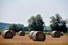 DSC_0017-EDIT.jpg