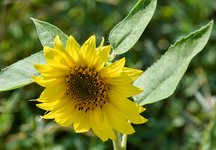 DSC_0073-EDIT.jpg