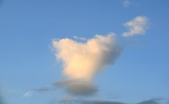 DSC_0007.JPG