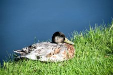DSC_0057-EDIT.jpg