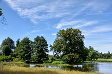 DSC_0085-EDIT.jpg