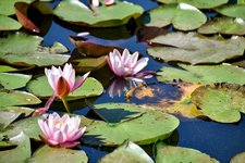 DSC_0154-EDIT.jpg