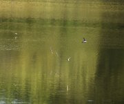 DSC_0018.JPG