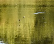 DSC_0013-EDIT.jpg