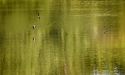 DSC_0014-EDIT.jpg DSC_0014-EDIT.jpg