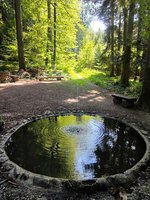 brunnen.jpg