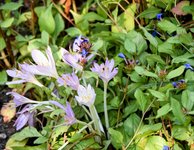 DSC_0013-EDIT.jpg