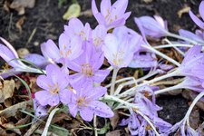 DSC_0015-EDIT.jpg
