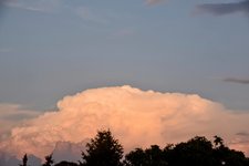 DSC_0001-EDIT.jpg